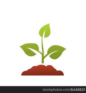 Seedling icon vector, growing tree, green agriculture