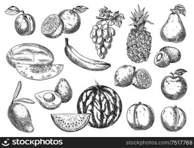 Selected fresh fruits sketches with apple and oranges, lemons, banana and peaches, mango, pineapple and grapes, pear, plum and melon, avocado, watermelon and kiwis. Enjoyable flavorful fresh fruits sketch icons