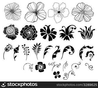 Selection of plant vectors