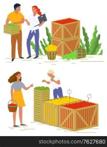 Seller with picking fruit, shopping apples, harvesting product in container. People buying vegetarian food, business and retail, agricultural work vector. Picking apple concept. Flat cartoon. Marketplace with Apples, Harvesting Fruit Vector