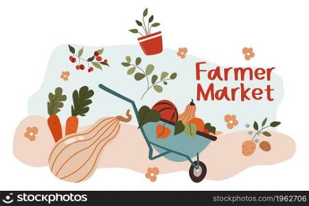 Selling fruits and vegetables grown on farm, farmer market offering zucchini, pumpkins and carrots, potato and cherries. Wheelbarrow with harvested products, food for sale. Vector in flat style. Farmer market, seeling vegetables and ripe fruits