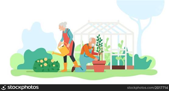 Senior family hobby. Happy elderly people engaged gardening. Grandparents plant and water flowers in yard. Couple take care of blossoms. Retired persons work in garden and greenhouse. Vector concept. Senior family hobby. Elderly people engaged gardening. Grandparents plant and water flowers in yard. Couple take care of blossoms. Persons work in garden and greenhouse. Vector concept