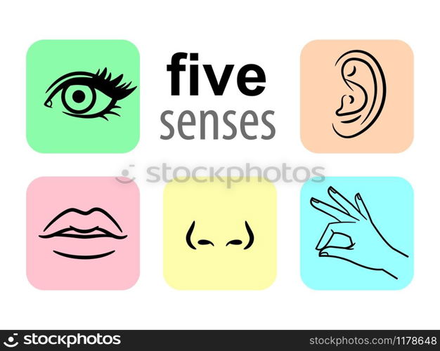 Senses icons. Five human illustrative senses vector illustration, taste and smell or nose sights, touch or sensory and sight or eye icons, hear or listen modern line pictograms. Senses icons. Five human illustrative senses vector illustration, taste and smell or nose sights