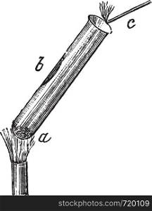 Separation of Mercuric Oxide into Mercury and Oxygen by strong heating inside a test tube, vintage engraved illustration. Trousset encyclopedia (1886 - 1891).