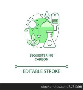 Sequestering carbon green concept icon. Reducing CO2 pollution. Net zero abstract idea thin line illustration. Isolated outline drawing. Editable stroke. Arial, Myriad Pro-Bold fonts used. Sequestering carbon green concept icon