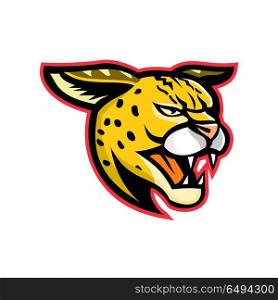 Serval Wild Cat Mascot . Sports mascot icon illustration of head of a growling serval, a wild cat native to Africa viewed from side on isolated background in retro style.. Serval Wild Cat Mascot