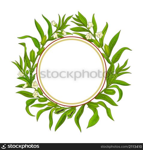 sesame plant vector frame on white background