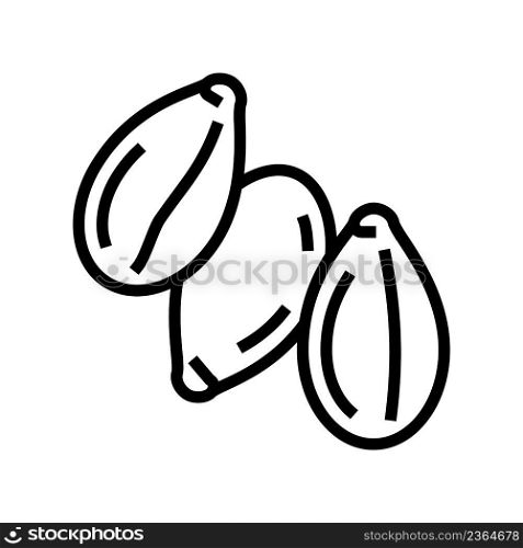 sesame seed line icon vector. sesame seed sign. isolated contour symbol black illustration. sesame seed line icon vector illustration