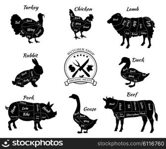 Set a schematic view of animals for butcher shop. Cow and pork, cattle and pig, chicken and lamb, beef and rabbit, duck and swine, goose and turkey, meat illustration. Vector meat cuts