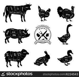 Set a schematic view of animals for butcher shop. Cow and pork, cattle ...
