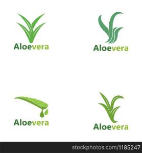 Set Aloe vera logo vector illustration template