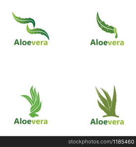 Set Aloe vera logo vector illustration template