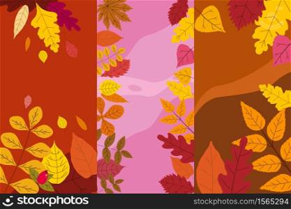 Set colorful autumn templates of autumn fallen leaves orange yellow foliage. Backgrounds social media stories banners. Set colorful autumn templates of autumn fallen leaves orange yellow foliage. Backgrounds social media stories banners. Template for event invitation, product catalog, advertising. Vector isoalted trendy flat style