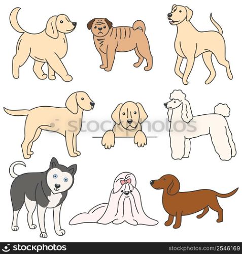 Set dog colored doodle style. Collection pets vector illustration. Labrador, husky, lap dog, dachshund cables and bitches. Set dog colored doodle style