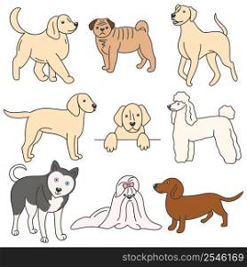 Set dog colored doodle style. Collection pets vector illustration. Labrador, husky, lap dog, dachshund cables and bitches. Set dog colored doodle style
