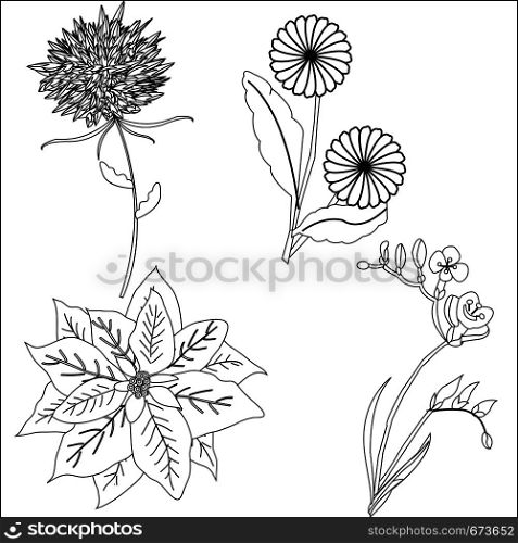 set doodle drawn flowers isolated on white background for design of cards, albums and flyers, coloring books