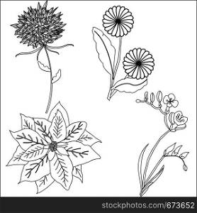 set doodle drawn flowers isolated on white background for design of cards, albums and flyers, coloring books