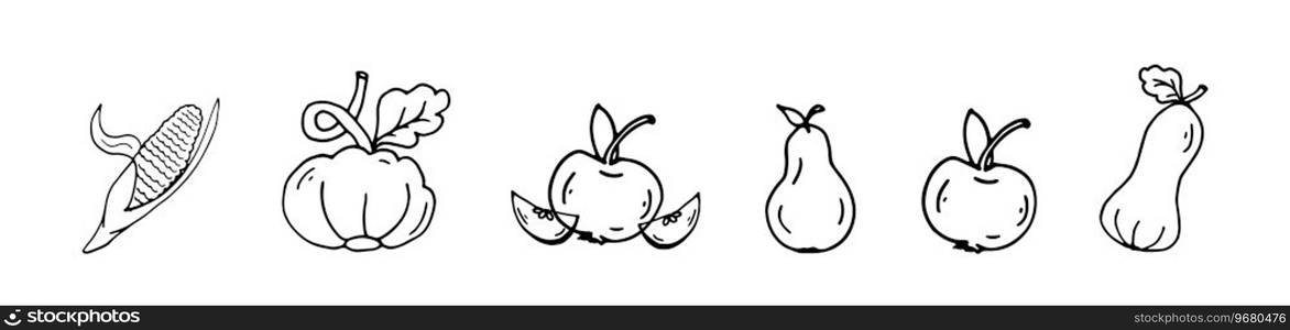 Set doodle harvest vegetables corn, pumpkin, apple, pear. Vector Black hand drawing autumn fruits. Counter vector illustration for natural and organic designs, icon, web elements, card, pattern.. Set doodle harvest vegetables corn, pumpkin, apple, pear. Vector Black hand drawing autumn fruits.