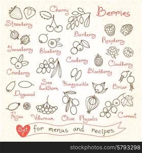 Set drawings of berries for design menus, recipes and packages product. Vector Illustration.