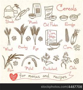 Set drawings of cereals for design menus, recipes and packing. Flakes, groats, porridge, muesli, cornflakes, oat, rye, wheat, barley, millet, buckwheat, rice, corn. Vector illustration.