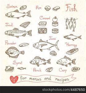 Set drawings of fish for design menus, recipes and packing. Trout, herring, sprat, flounder, perch, carp, tuna, salmon, roe, canned fish. Vector illustration