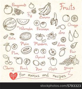 Set drawings of fruit for design menus, recipes and packages product. Vector Illustration.
