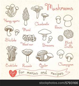 Set drawings of mushrooms for design menus, recipes and packages product. Vector Illustration.