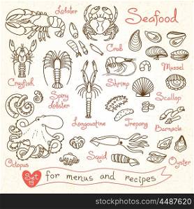 Set drawings of seafood for design menus, recipes, packaging and advertising. Shrimp, crab, mussels, squid, octopus, lobster, crayfish, scallops sea cucumbers oysters langoustine barnacle Vector illustration