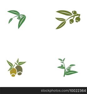 Set Eucalyptus leaves logo vector template design illustration