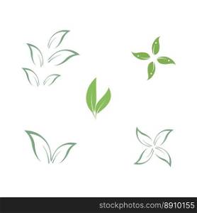 Set Eucalyptus leaves logo vector template design illustration