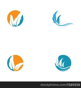 Set Feathers Logo Template vector symbol nature