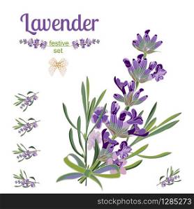 Set festive border and elements with Lavender flowers for greeting card. Botanical illustration are drawn by hand. Set festive border and elements with Lavender flowers for greeting card. Botanical illustration.