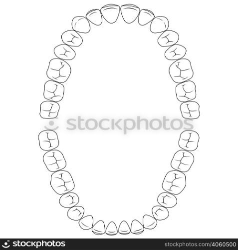 Set fissures teeth, the chewing surface of teeth upper and lower jaw, dental vector illustration for print or design dental website template