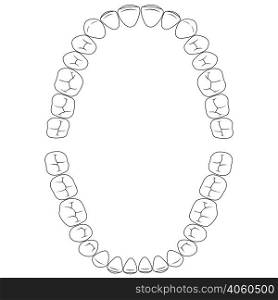 Set fissures teeth, the chewing surface of teeth upper and lower jaw, dental vector illustration for print or design dental website template