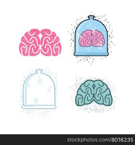 Set for laboratory research. Laboratory of pitcher and human brain in a jar. Vector illustration.