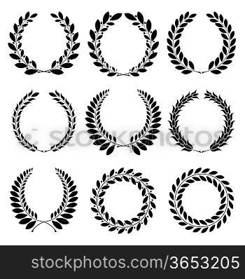 Set from black laurel wreath on the white background