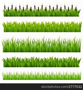 Set from grass of green border.(can be repeated and scaled in any size)