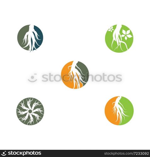 Set Ginseng Wave Logo Template vector symbol nature