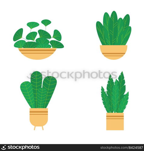 Set house plants and flowers in ceramic pots. Flat style home plants and leaves on white background. Hygge style. Trendy vector botanical elements.