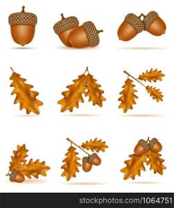 set icons autumn oak acorns with leaves vector illustration isolated on white background