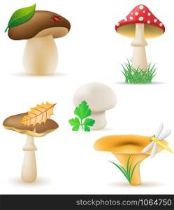 set icons mushrooms vector illustration isolated on white background
