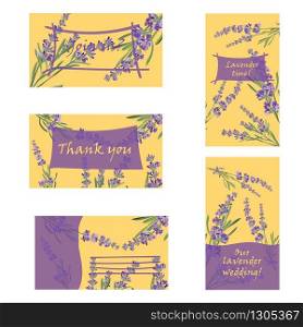 Set invitation cards with flower frame Lavender Vector illustration