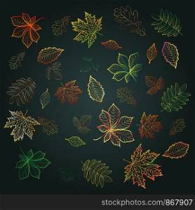 Set leaf fall, outlines of bright, colorful autumn leaves on a dark background. Chestnut, maple, oak, birch, aspen, etc.
