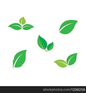 Set Leaf icon Vector Illustration design Logo template