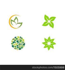 Set Leaf Logo Template vector symbol nature