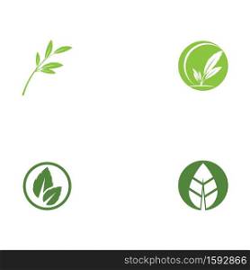 Set Leaf Logo Template vector symbol nature