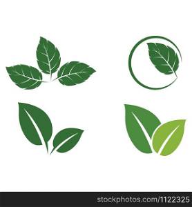 Set Leaf Mint Logo Template vector symbol nature