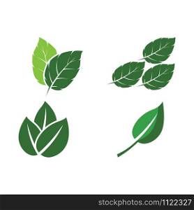 Set Leaf Mint Logo Template vector symbol nature