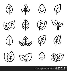 Set line leaf icons vector image