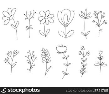 Set meadow field herbs doodle illustration. Simple outline herbal and flower plants vector collection. Botanical spring grass decoration hand drawn ink. Set meadow field herbs doodle illustration